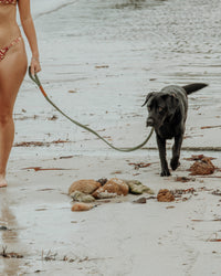 Macrame Dog Lead