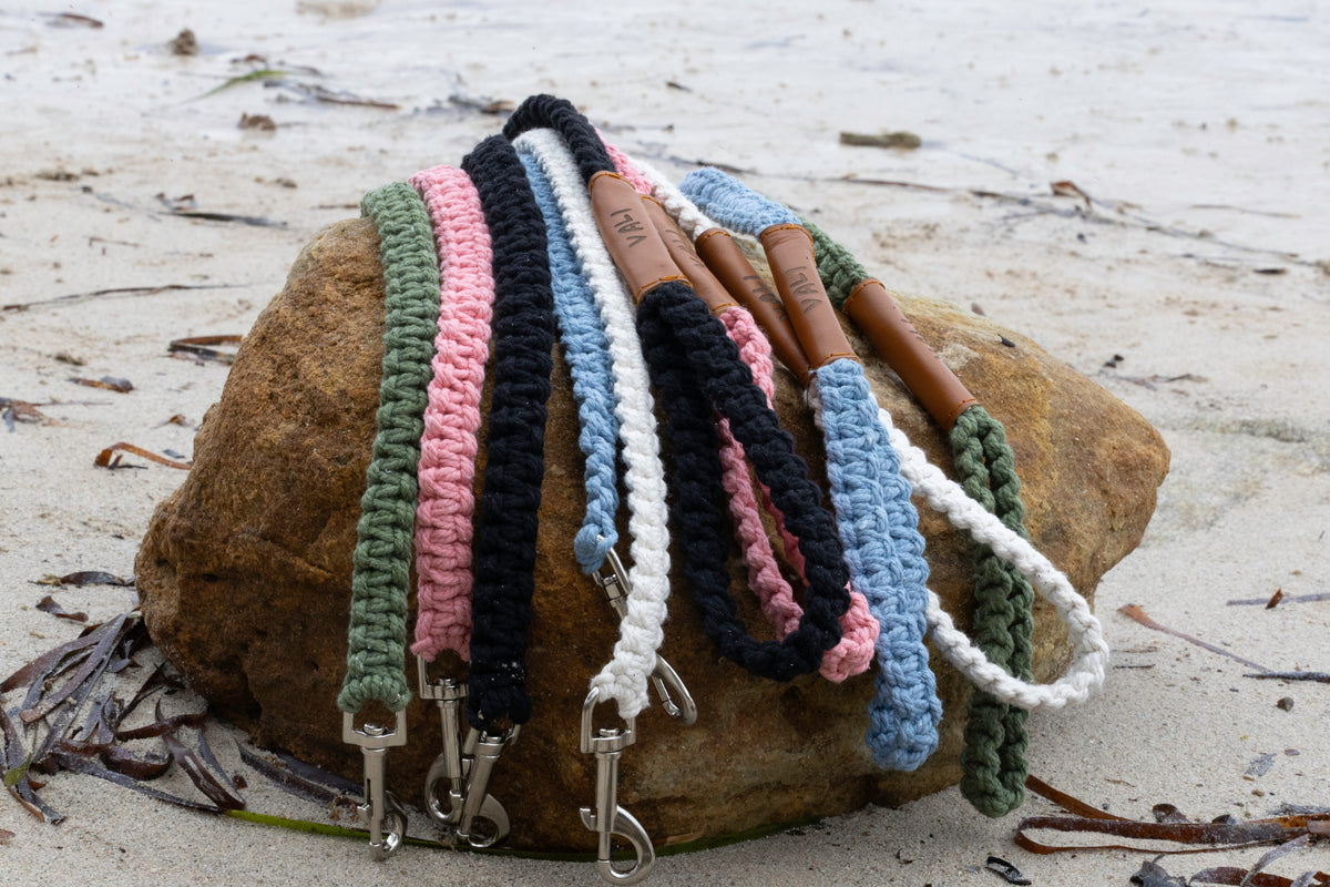 Macrame Dog Lead
