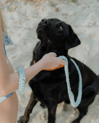 Macrame Dog Lead
